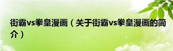 街霸vs拳皇漫畫(huà)（關(guān)于街霸vs拳皇漫畫(huà)的簡(jiǎn)介）