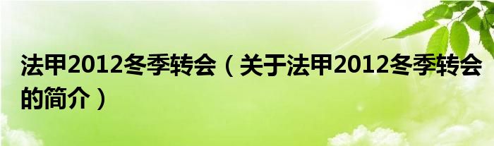 法甲2012冬季轉(zhuǎn)會（關(guān)于法甲2012冬季轉(zhuǎn)會的簡介）