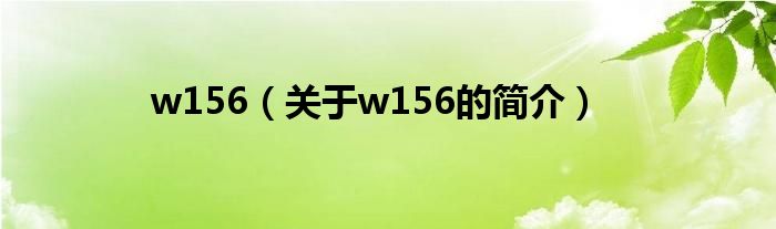 w156（關(guān)于w156的簡介）