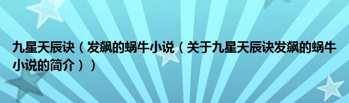 九星天辰訣（發(fā)飆的蝸牛小說（關(guān)于九星天辰訣發(fā)飆的蝸牛小說的簡(jiǎn)介））