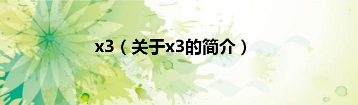 x3（關(guān)于x3的簡(jiǎn)介）