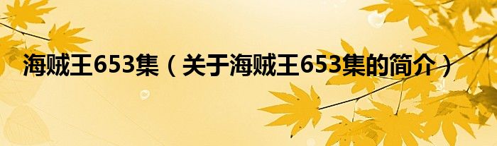 海賊王653集（關于海賊王653集的簡介）