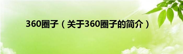 360圈子（關(guān)于360圈子的簡介）