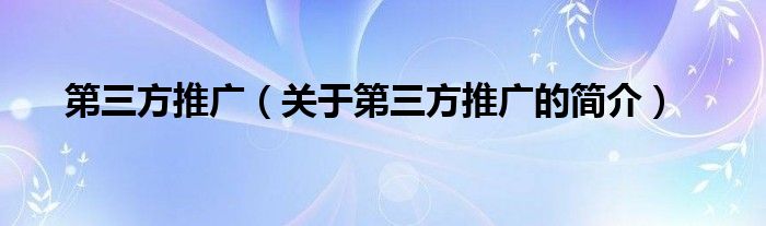 第三方推廣（關于第三方推廣的簡介）