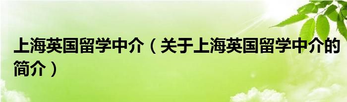 上海英國(guó)留學(xué)中介（關(guān)于上海英國(guó)留學(xué)中介的簡(jiǎn)介）