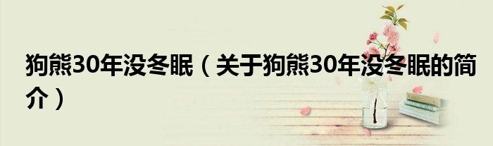 狗熊30年沒冬眠（關(guān)于狗熊30年沒冬眠的簡介）