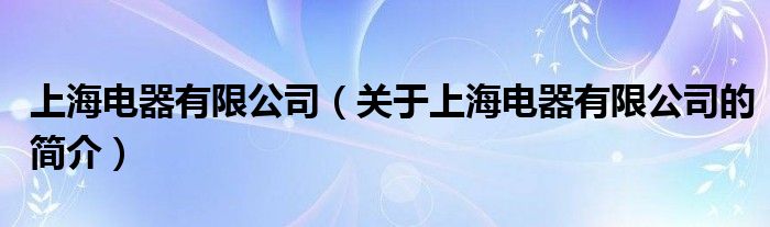 上海電器有限公司（關(guān)于上海電器有限公司的簡(jiǎn)介）