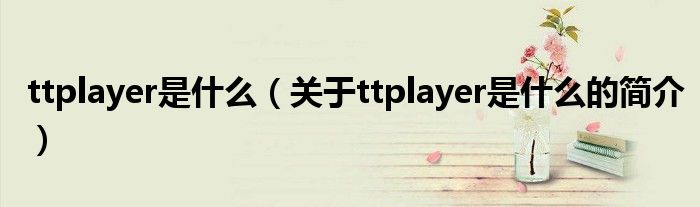 ttplayer是什么（關(guān)于ttplayer是什么的簡介）