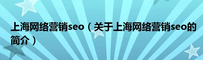 上海網絡營銷seo（關于上海網絡營銷seo的簡介）