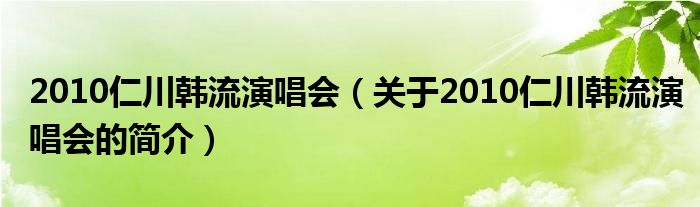 2010仁川韓流演唱會(huì)（關(guān)于2010仁川韓流演唱會(huì)的簡(jiǎn)介）