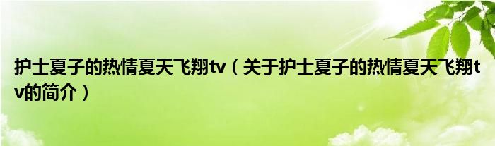 護士夏子的熱情夏天飛翔tv（關于護士夏子的熱情夏天飛翔tv的簡介）