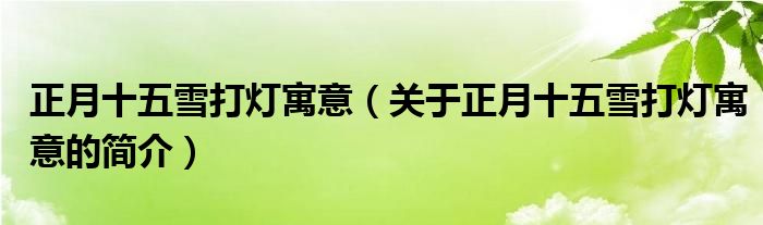 正月十五雪打燈寓意（關(guān)于正月十五雪打燈寓意的簡(jiǎn)介）