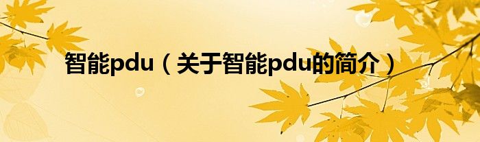 智能pdu（關(guān)于智能pdu的簡(jiǎn)介）