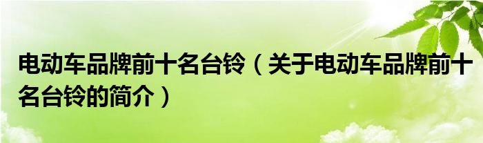 電動車品牌前十名臺鈴（關(guān)于電動車品牌前十名臺鈴的簡介）