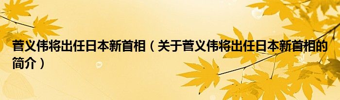 菅義偉將出任日本新首相（關(guān)于菅義偉將出任日本新首相的簡(jiǎn)介）