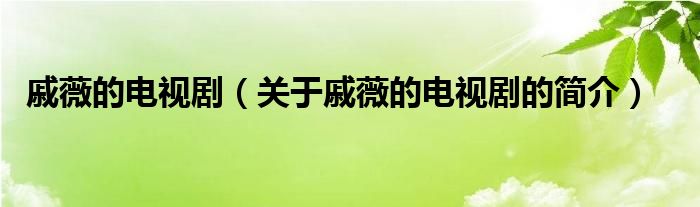 戚薇的電視?。P(guān)于戚薇的電視劇的簡(jiǎn)介）