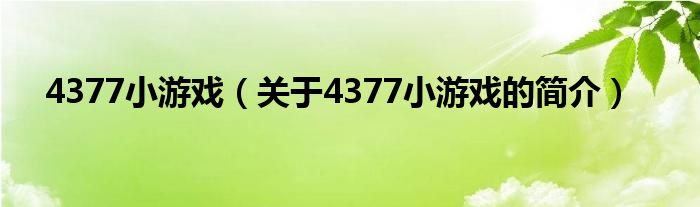 4377小游戲（關(guān)于4377小游戲的簡(jiǎn)介）