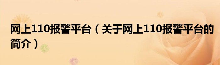 網(wǎng)上110報警平臺（關(guān)于網(wǎng)上110報警平臺的簡介）