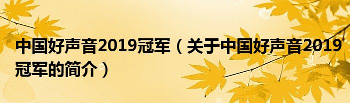 中國(guó)好聲音2019冠軍（關(guān)于中國(guó)好聲音2019冠軍的簡(jiǎn)介）