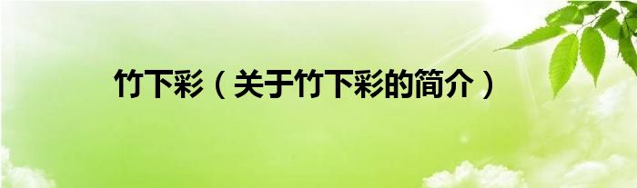 竹下彩（關(guān)于竹下彩的簡(jiǎn)介）