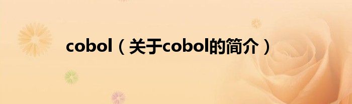 cobol（關(guān)于cobol的簡(jiǎn)介）