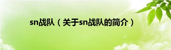 sn戰(zhàn)隊（關于sn戰(zhàn)隊的簡介）