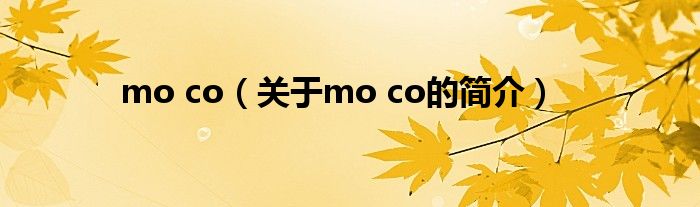 mo co（關于mo co的簡介）