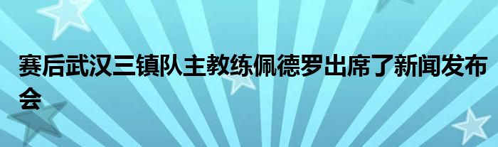 賽后武漢三鎮(zhèn)隊(duì)主教練佩德羅出席了新聞發(fā)布會(huì)