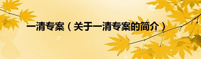 一清專案（關(guān)于一清專案的簡(jiǎn)介）