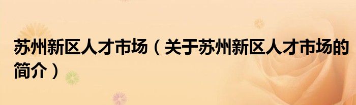 蘇州新區(qū)人才市場（關(guān)于蘇州新區(qū)人才市場的簡介）