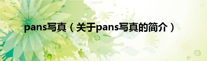 pans寫真（關(guān)于pans寫真的簡(jiǎn)介）