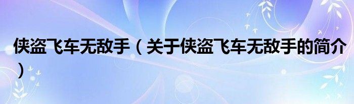 俠盜飛車無敵手（關于俠盜飛車無敵手的簡介）