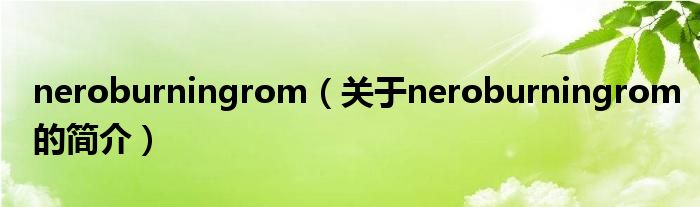 neroburningrom（關(guān)于neroburningrom的簡(jiǎn)介）