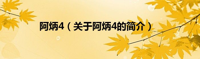 阿炳4（關(guān)于阿炳4的簡(jiǎn)介）