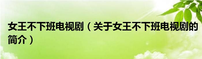 女王不下班電視劇（關(guān)于女王不下班電視劇的簡介）