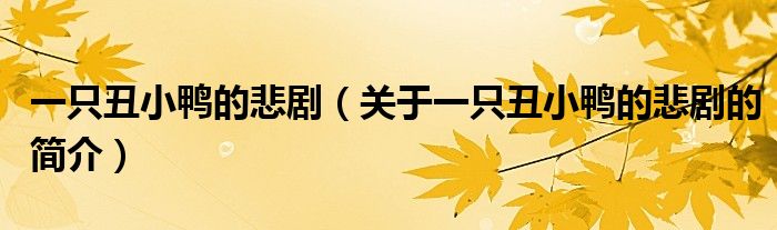 一只丑小鴨的悲?。P(guān)于一只丑小鴨的悲劇的簡(jiǎn)介）