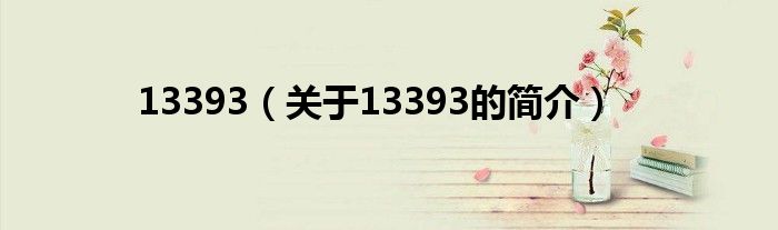 13393（關(guān)于13393的簡(jiǎn)介）