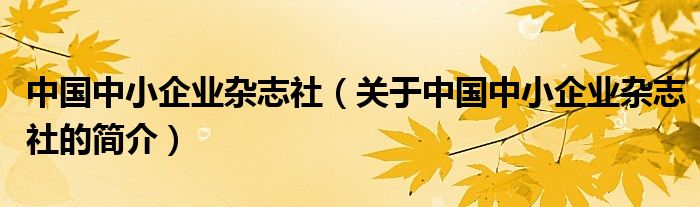 中國(guó)中小企業(yè)雜志社（關(guān)于中國(guó)中小企業(yè)雜志社的簡(jiǎn)介）