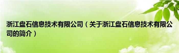 浙江盤石信息技術(shù)有限公司（關(guān)于浙江盤石信息技術(shù)有限公司的簡(jiǎn)介）