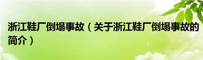 浙江鞋廠倒塌事故（關(guān)于浙江鞋廠倒塌事故的簡介）