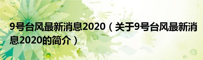 9號臺風(fēng)最新消息2020（關(guān)于9號臺風(fēng)最新消息2020的簡介）