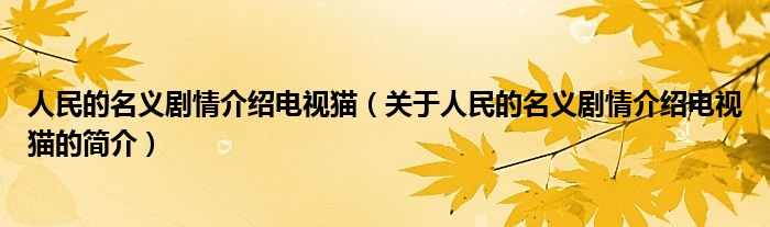 人民的名義劇情介紹電視貓（關于人民的名義劇情介紹電視貓的簡介）