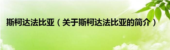 斯柯達(dá)法比亞（關(guān)于斯柯達(dá)法比亞的簡(jiǎn)介）