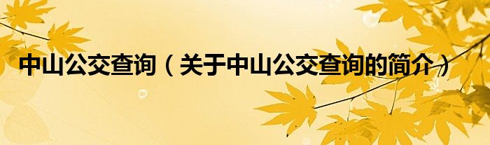 中山公交查詢（關(guān)于中山公交查詢的簡介）