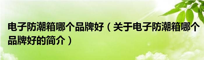 電子防潮箱哪個品牌好（關(guān)于電子防潮箱哪個品牌好的簡介）