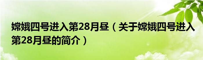 嫦娥四號進(jìn)入第28月晝（關(guān)于嫦娥四號進(jìn)入第28月晝的簡介）