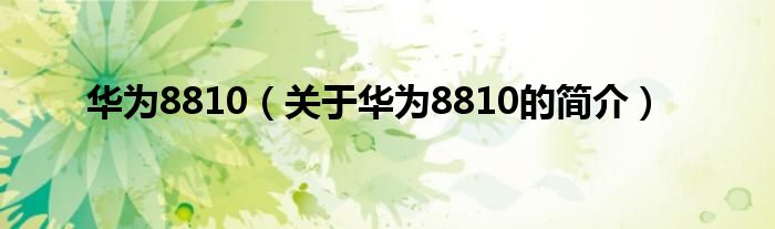 華為8810（關(guān)于華為8810的簡(jiǎn)介）