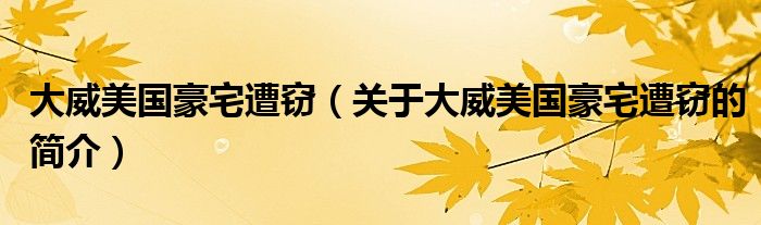 大威美國(guó)豪宅遭竊（關(guān)于大威美國(guó)豪宅遭竊的簡(jiǎn)介）