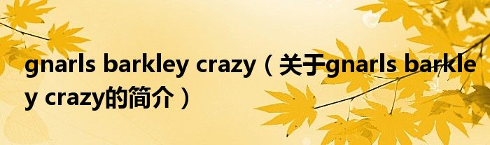 gnarls barkley crazy（關(guān)于gnarls barkley crazy的簡介）