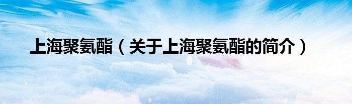 上海聚氨酯（關(guān)于上海聚氨酯的簡(jiǎn)介）